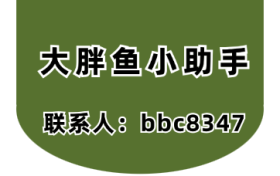 大胖鱼小助手-短视频粉丝量对播放量有影响吗？