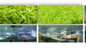 深圳中创咨询陪跑导师：助力农业种植企业融资2200万