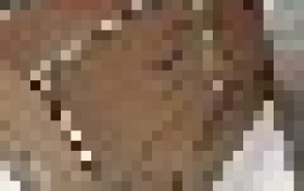 合生元派星真实评价